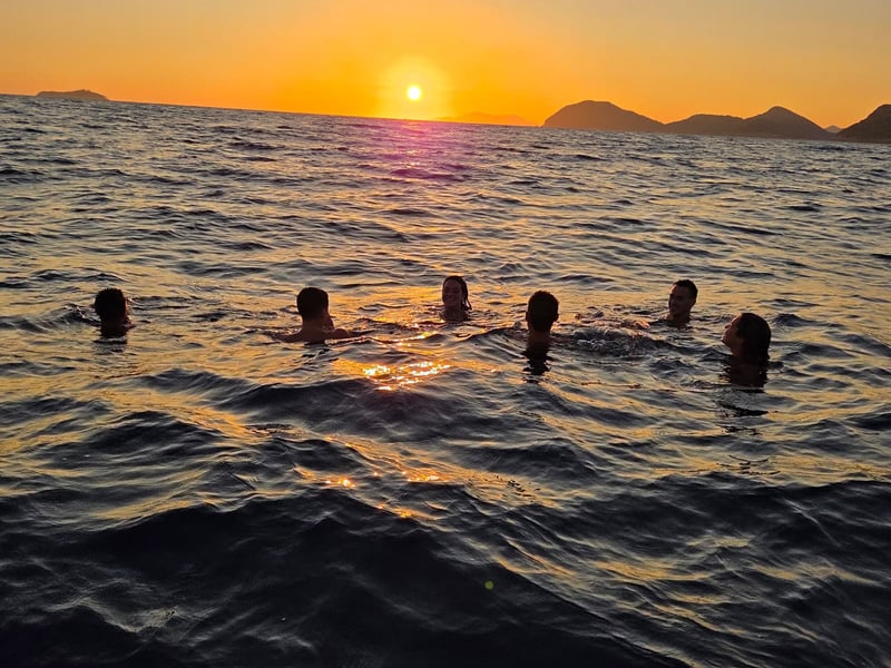 A group of swimmers in the sea at sunset, the sun just above a line of islands